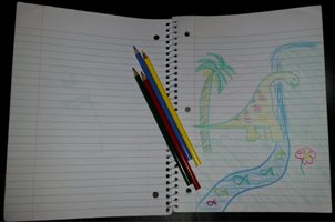 Spiral notebooks and colored pens/pencils are always a huge hit with my children!